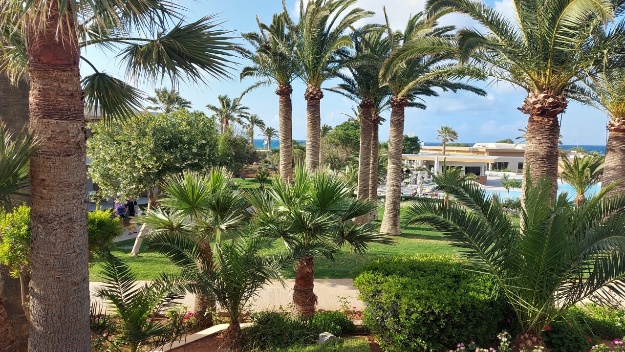 Ausblick Anissa Beach & Village