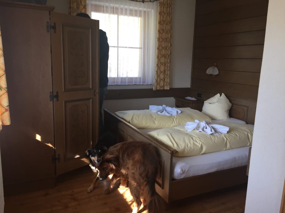 Zimmer Bergbauernhof Pension Irxner
