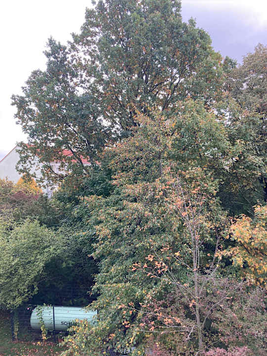 Ausblick Best Western Hotel Windorf