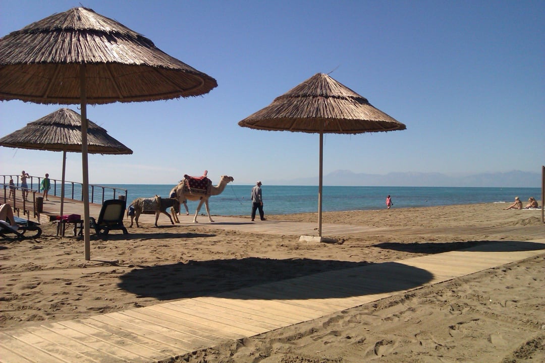 Ein wunderbarer Tag am Strand Gloria Serenity Resort