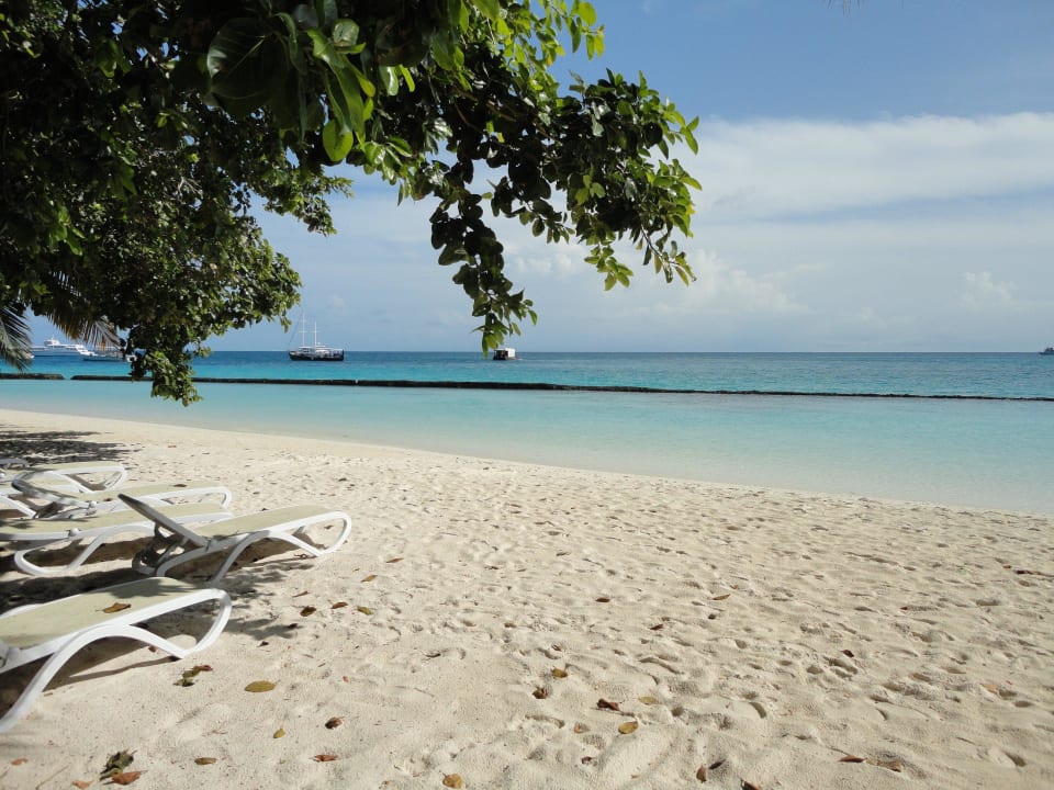 Lagune Kuramathi Maldives
