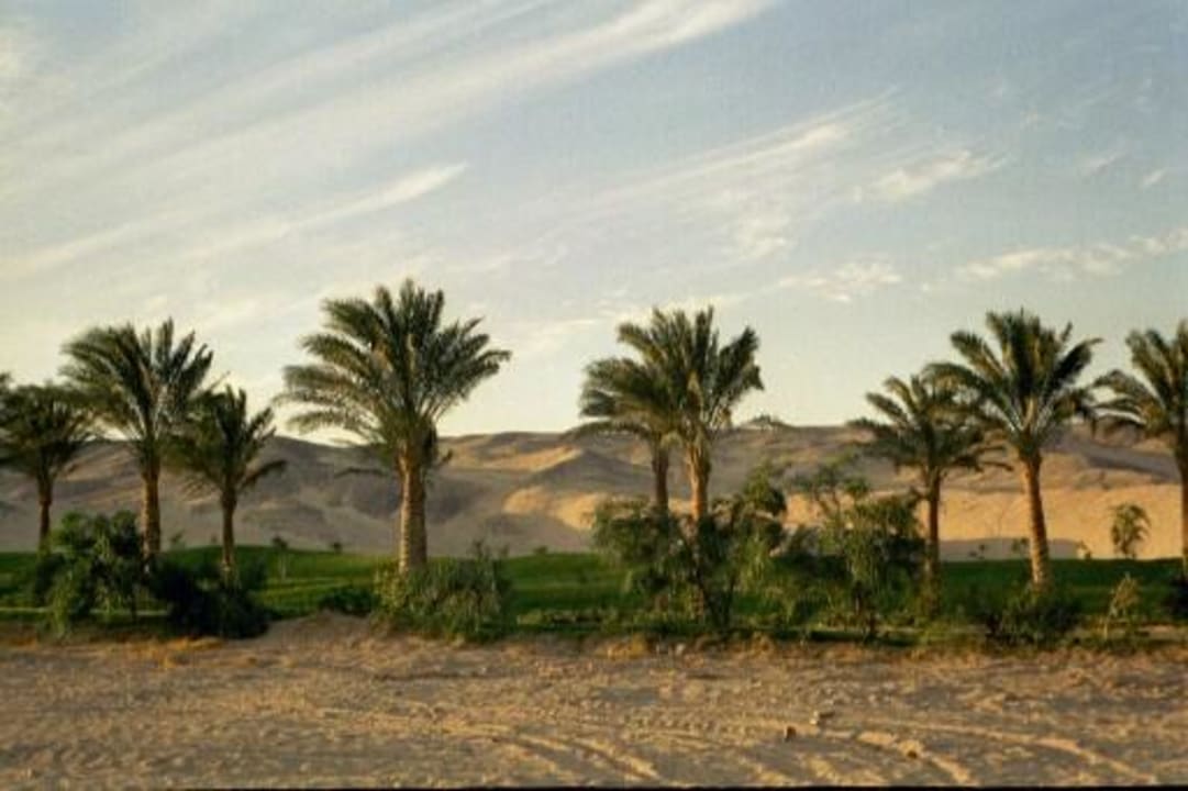 Iberostar Makadi Oasis Club - Ägypten Jaz Makadi Oasis Resort