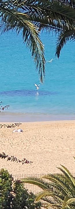 Strand Hotel Riu Palace Jandia