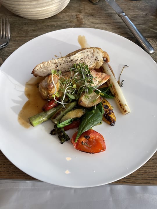 Gastro Seezeitlodge Hotel & Spa