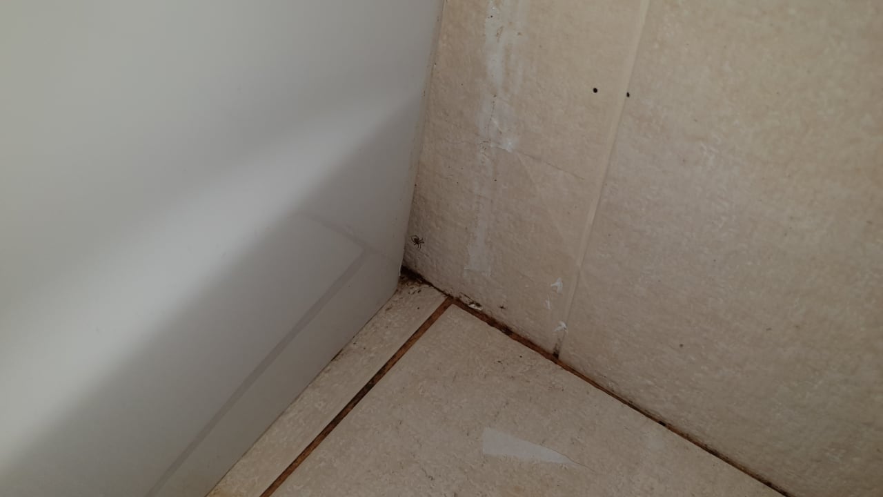 Zimmer Salmakis Resort & Spa