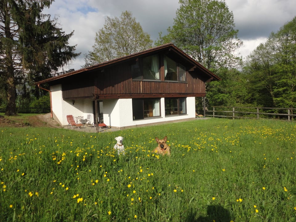 Unser Bungalow Hotel Gut Feuerschwendt