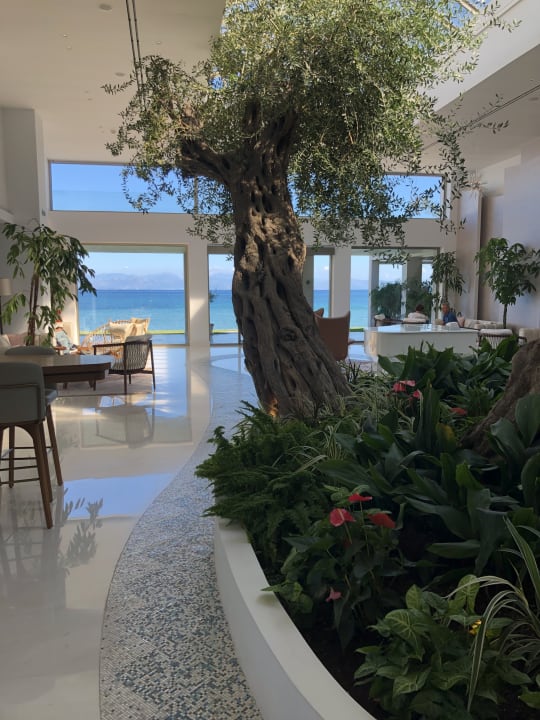 Lobby Domes Miramare, a Luxury Collection Resort, Corfu