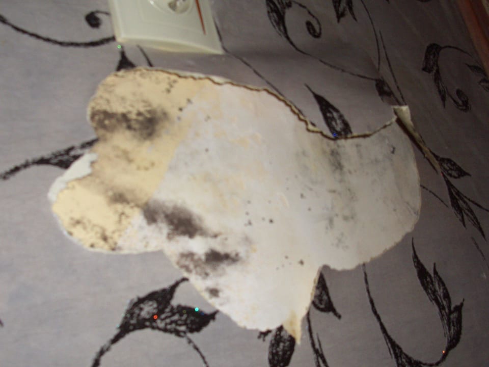 Schimmel im ganzen Zimmer Mira Meridia Beach Hotel