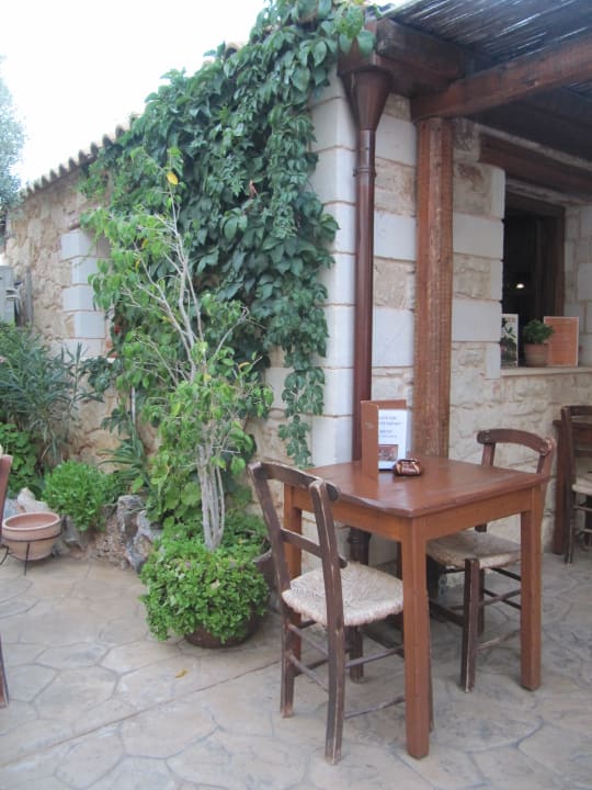 Gartenanlage Cactus Royal