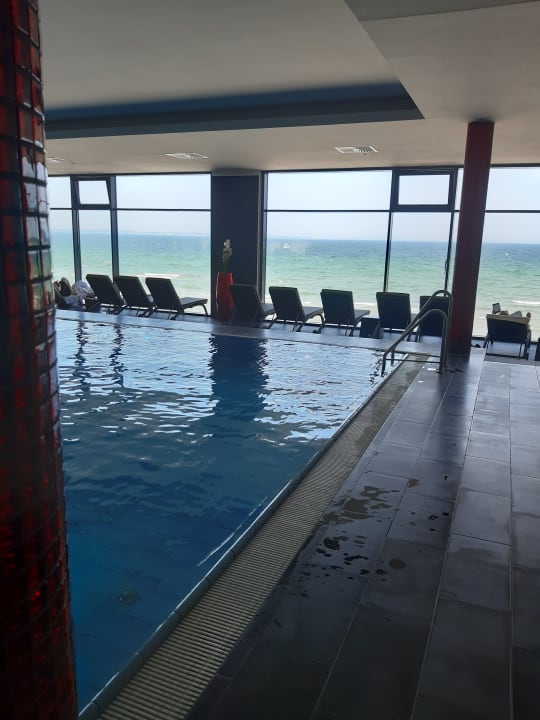 Pool Hotel Bayside