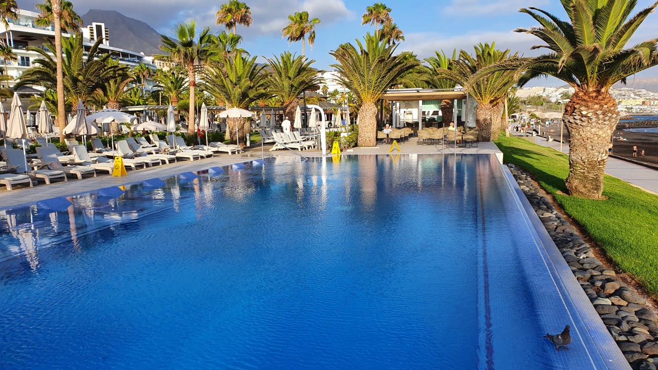 Pool Hotel Riu Palace Tenerife