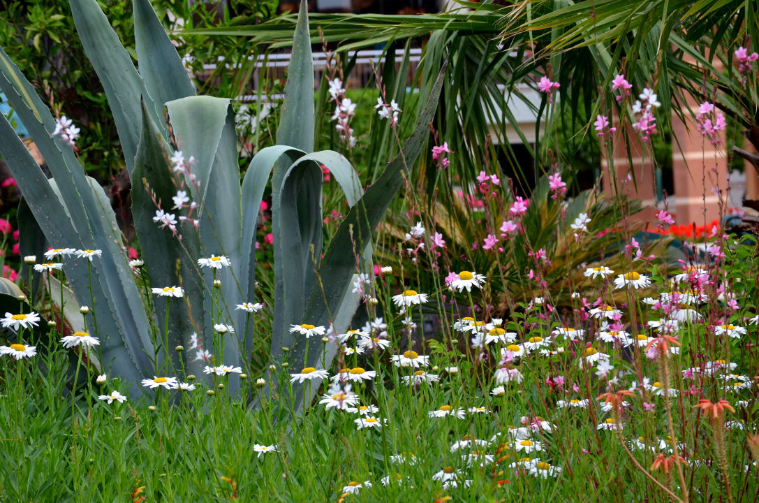 Gartenanlage Megasaray Club Belek