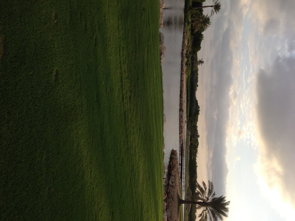 9-Loch Golfplatz Jebel Ali JA Palm Tree Court