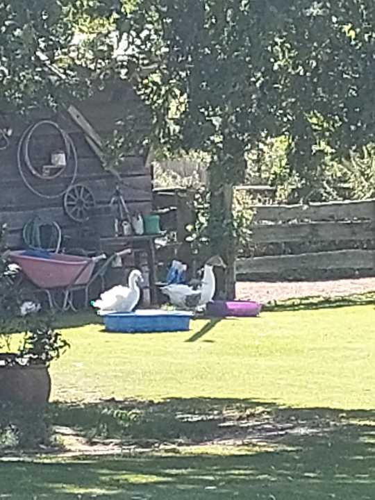 Gartenanlage Ferienhof Keks und Krümel