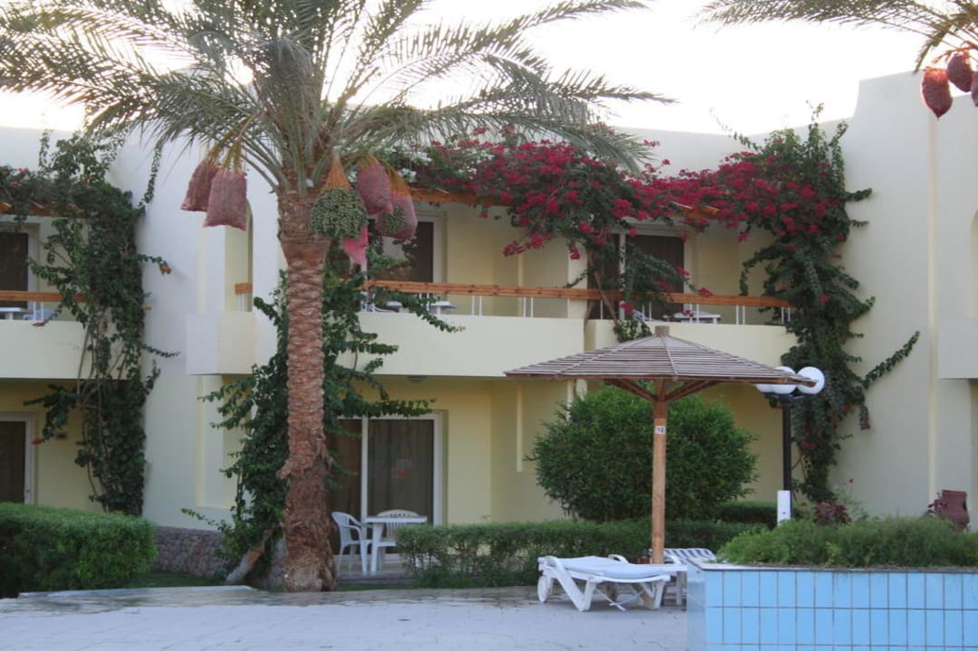Traumhafter Balkon Palm Beach Resort