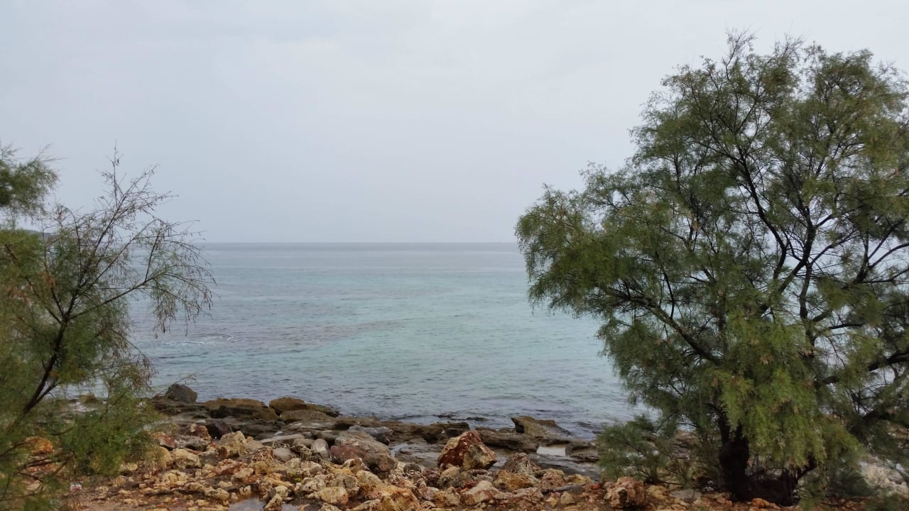 Gang zum Meer BJ Playamar Hotel & Apartamentos