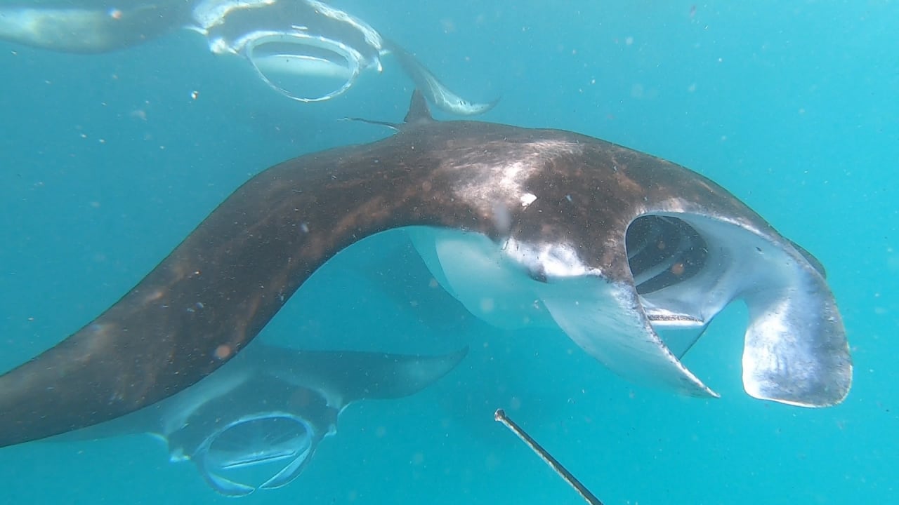 Sport & Freizeit NH Collection Maldives Reethi Resort