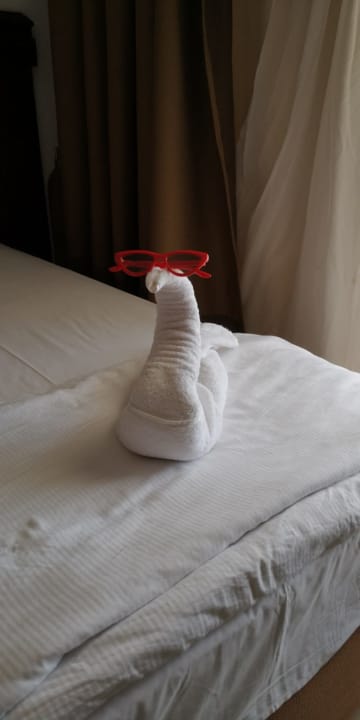 Zimmer Beach Albatros Resort