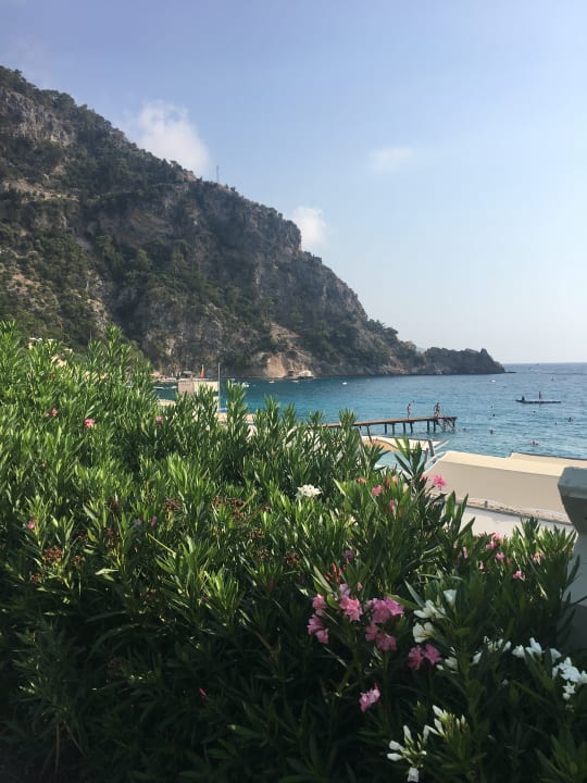 Strand Liberty Lykia
