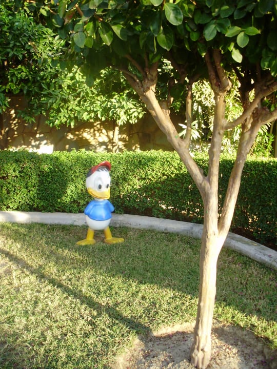Disney postavička Alba Resort Hotel