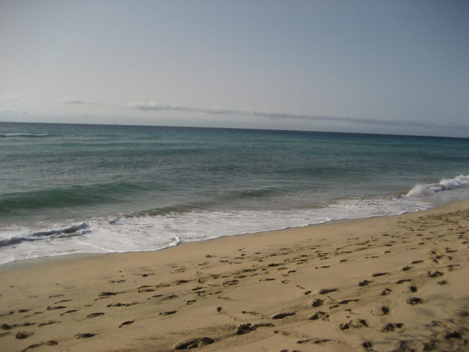 Schöner Strandabschnitt Iberostar Selection Fuerteventura Palace