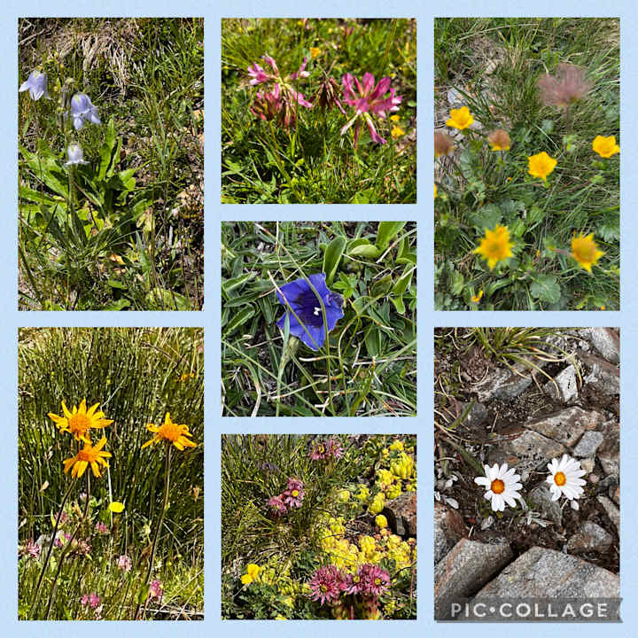 Ausblick Hotel Rossalm