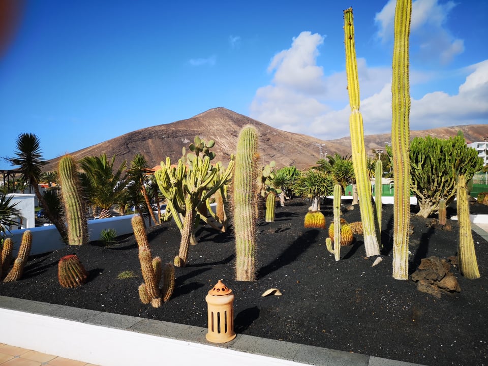 Außenansicht Club Jandia Princess