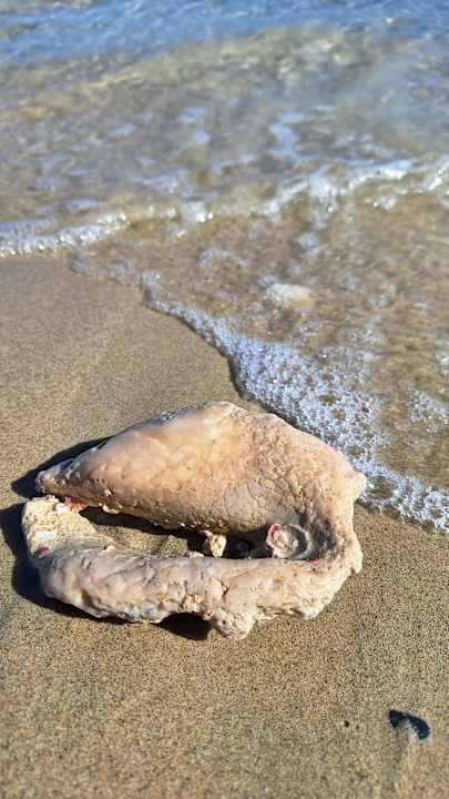 Strand Bliss Nada Beach Resort