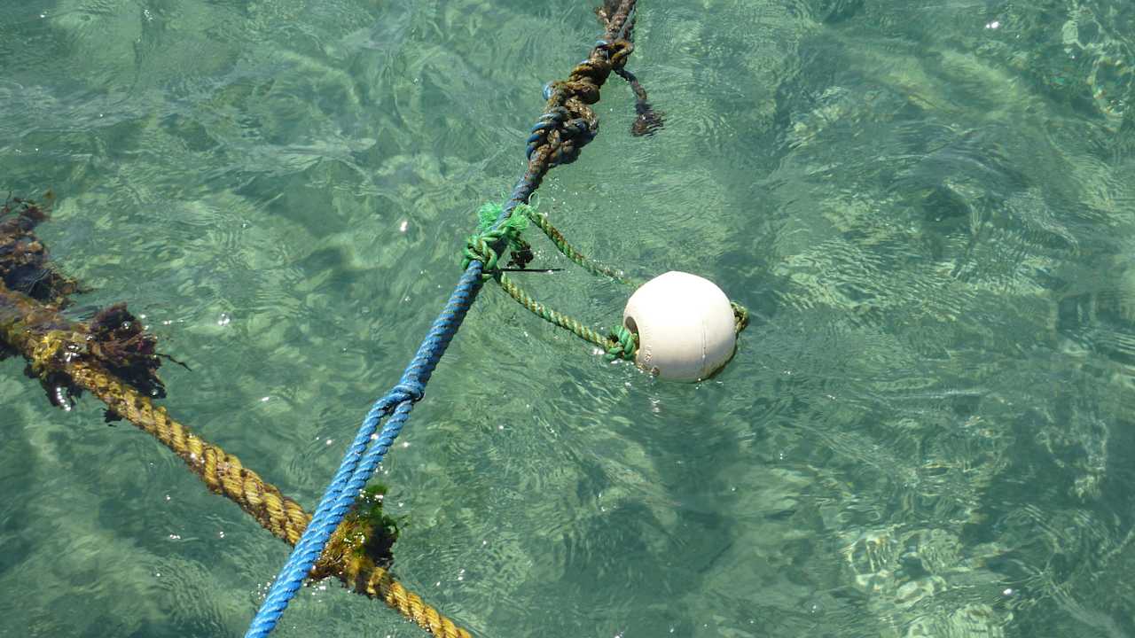 Wasserqualität Ghazala Beach