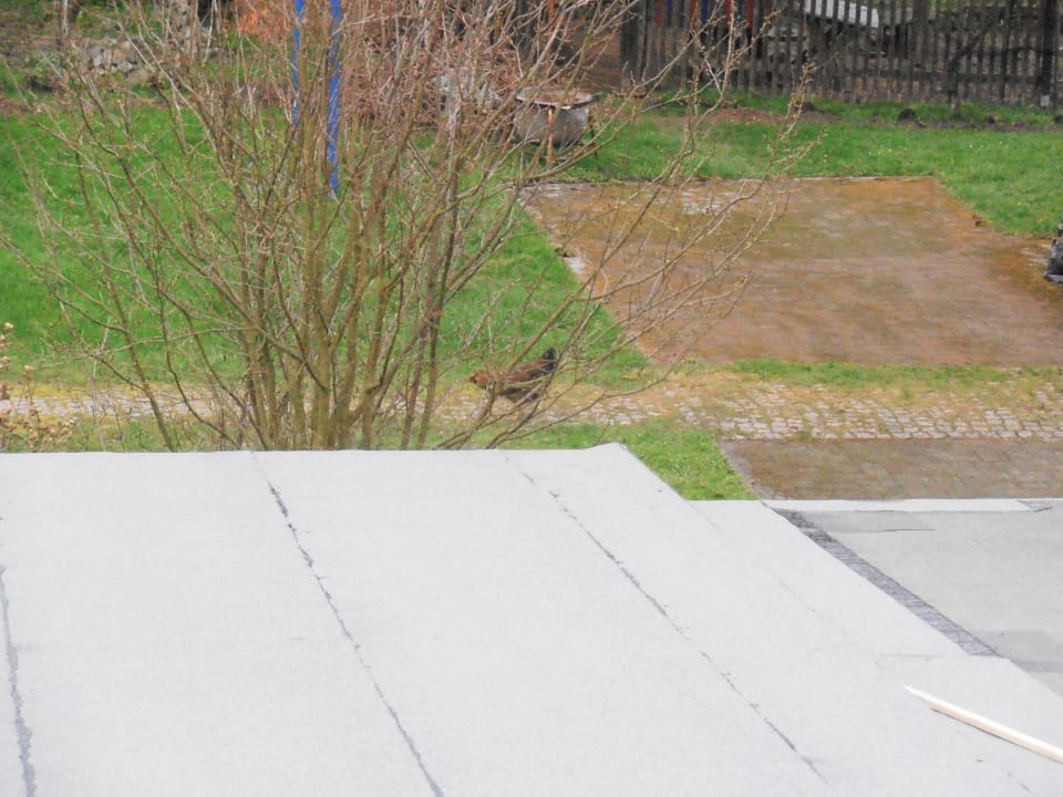 Ausblick Hotel Garni Elbgarten