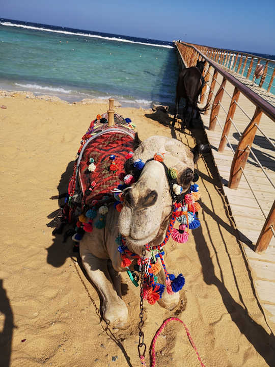 Strand Lazuli Hotel Marsa Alam