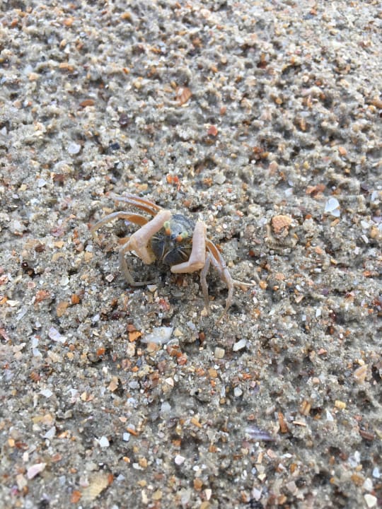 Sonstiges Aonang Ayodhaya Beach Resort & Spa