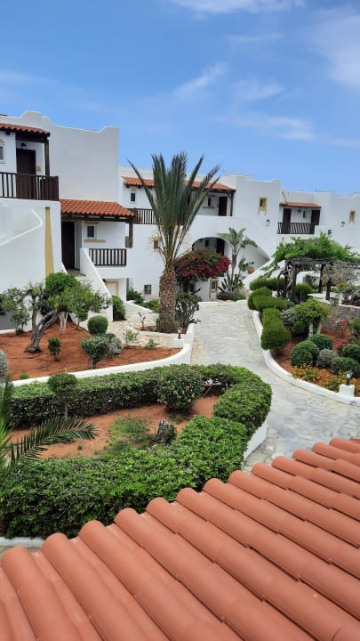 Gartenanlage Alexander Beach Hotel & Village Resort