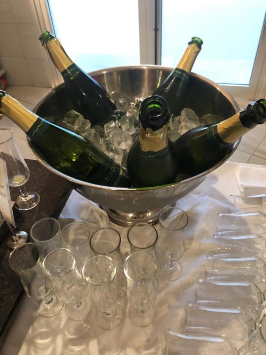 Gastro Hotel Riu Arecas - Adults only