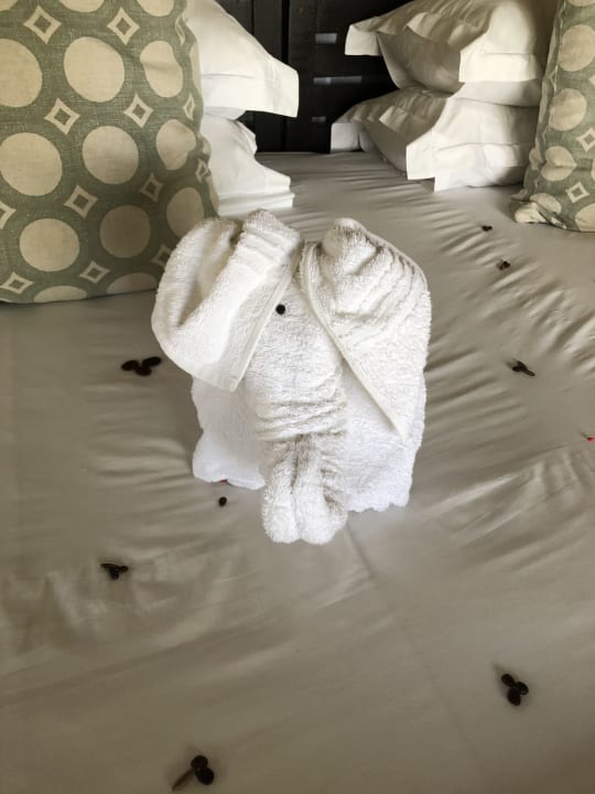 Zimmer Ghoha Hills Savuti Lodge