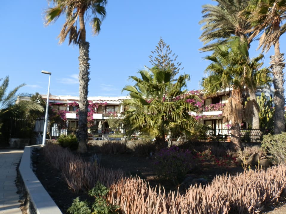 Blick in den Garten HL Miraflor Suites Hotel