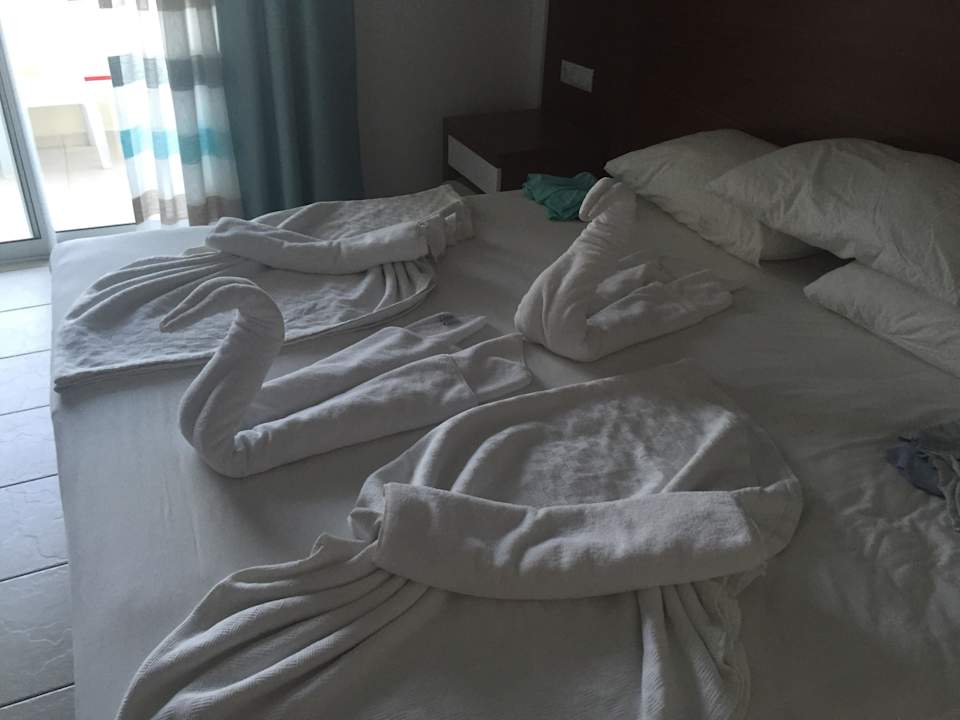 Nette Geste nach etwas Trinkgeld Iko Melisa Garden