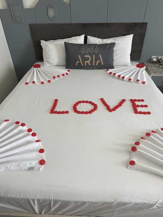 Zimmer Aria Resort & Spa