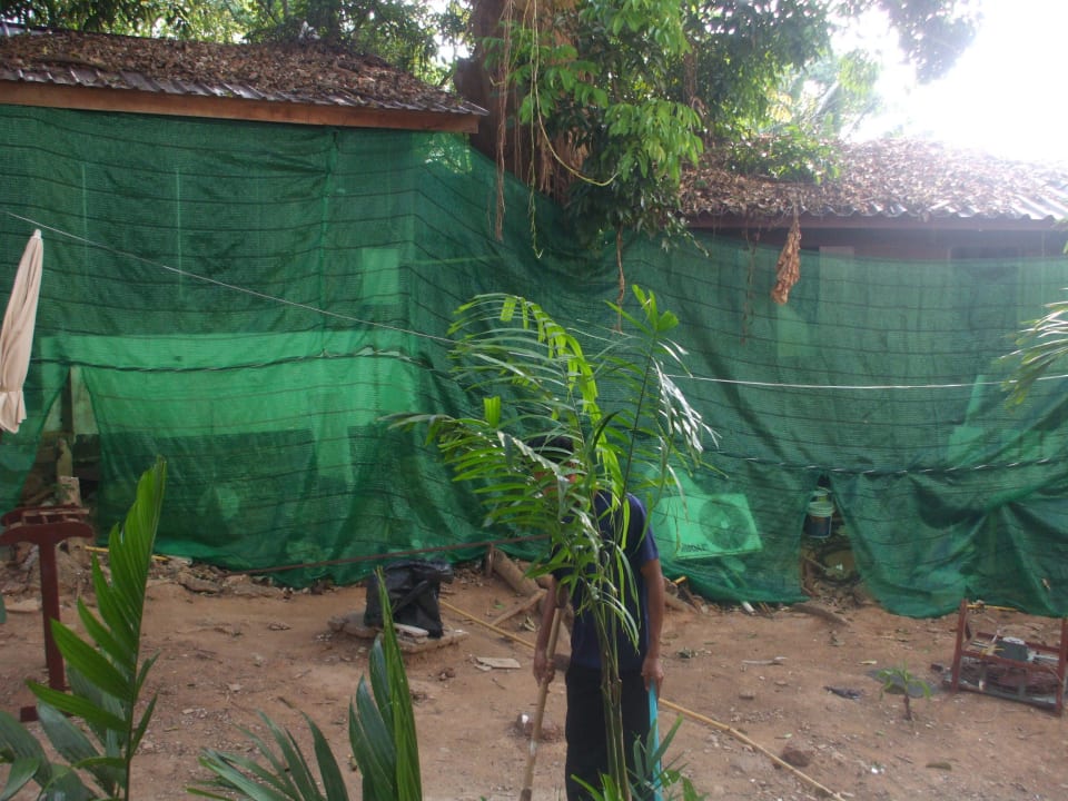 Sensationeller Gartenblick Best Western Phuket Ocean Resort