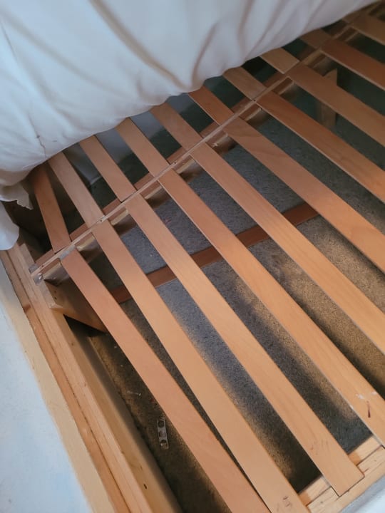 Zimmer Georg Hotel Witten