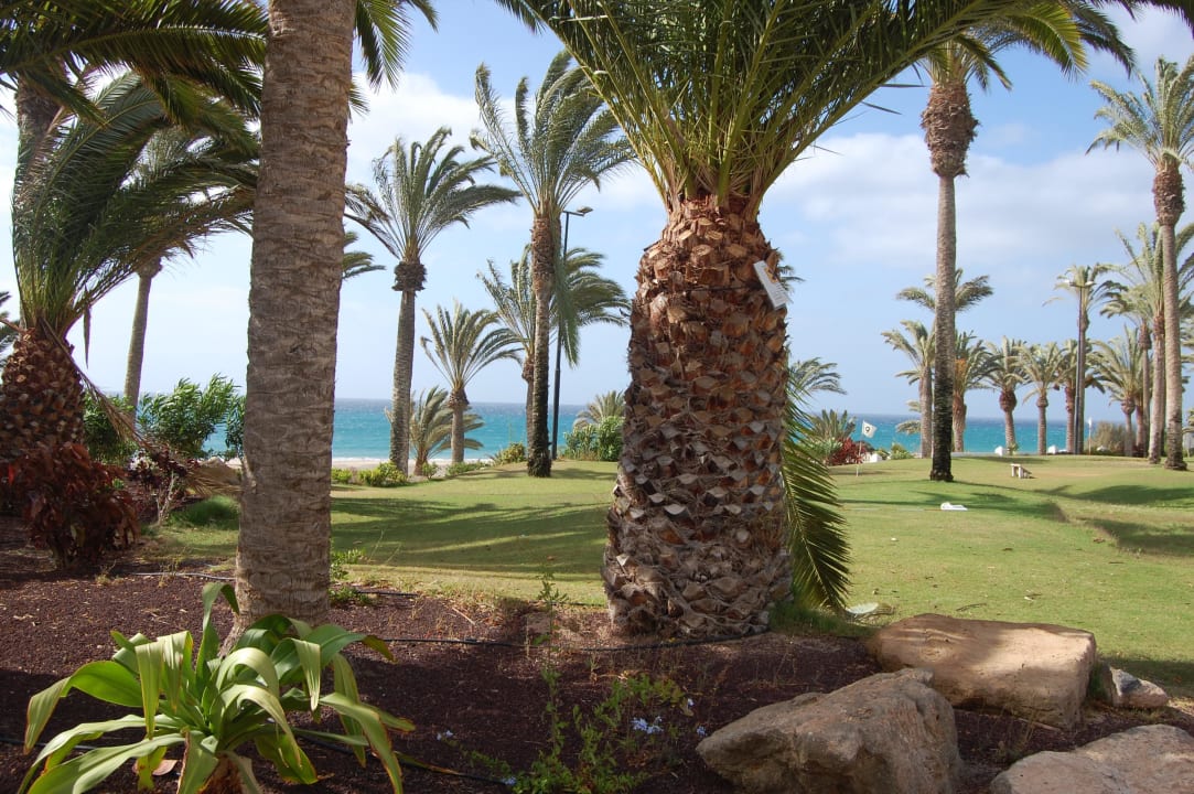 Ogród SBH Hotel Costa Calma Palace