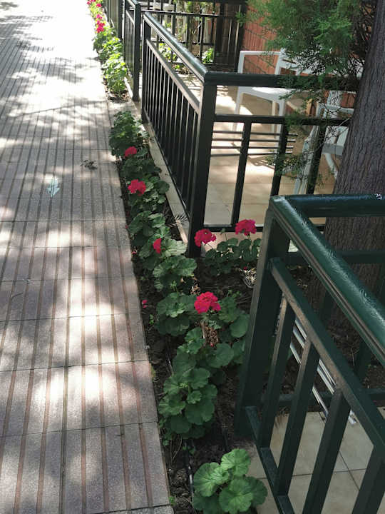 Außenansicht Can Garden Beach