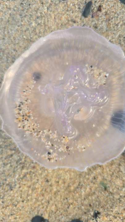 Strand Bliss Nada Beach Resort