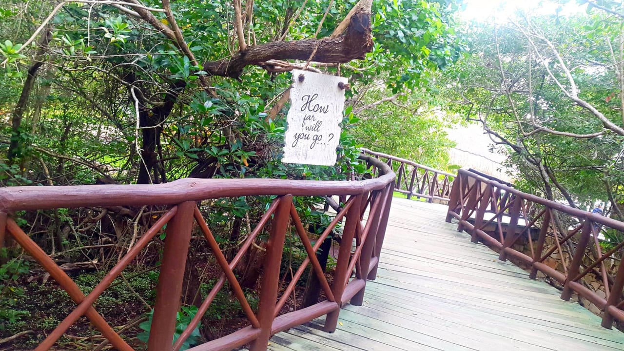 Gartenanlage Catalonia Royal Tulum Beach & Spa Resort - Adults only