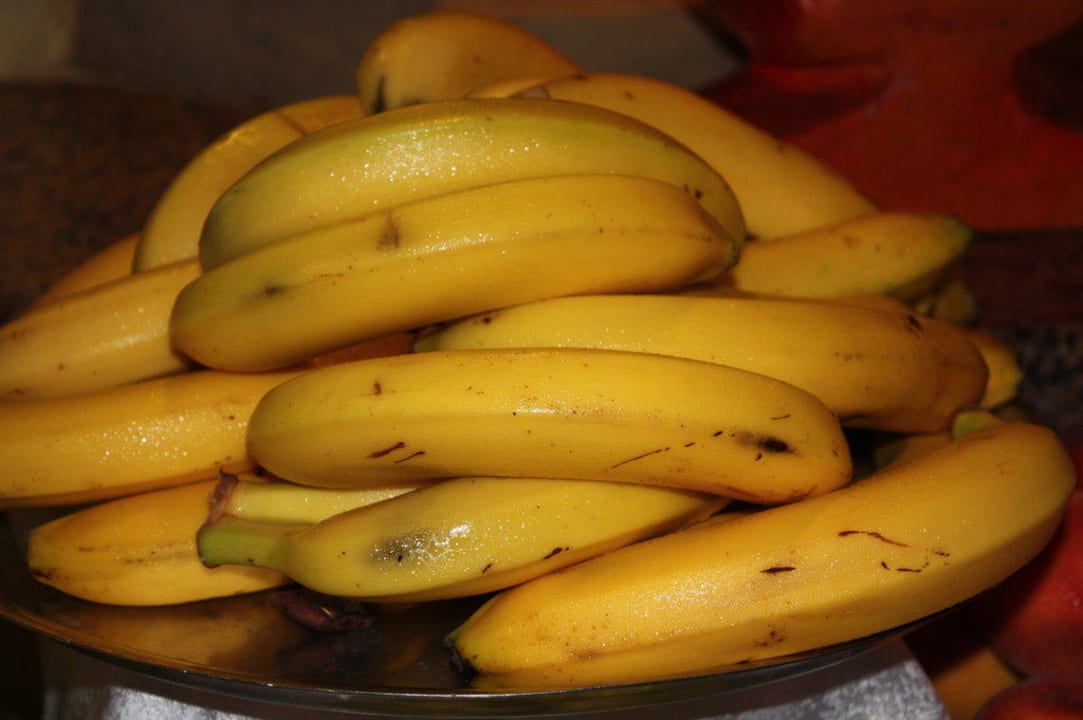 Club Ali Bey Manavgat Ali Bey Club