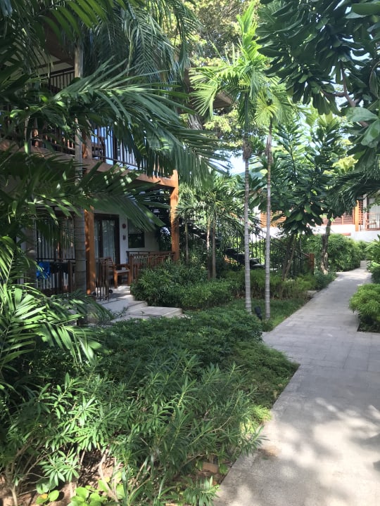 Gartenanlage Banana Fan Sea Resort