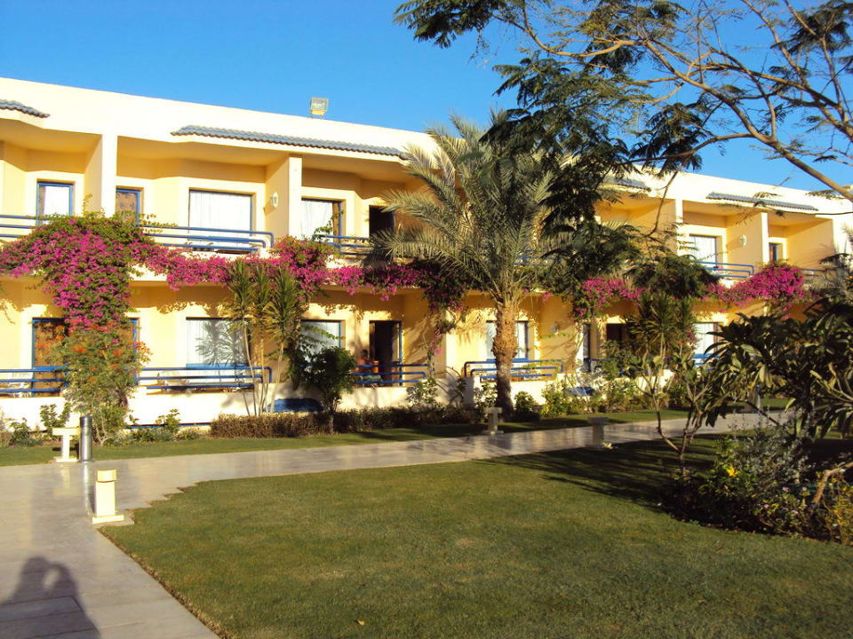 На территории отеля Cataract Layalina Hotel Naama Bay