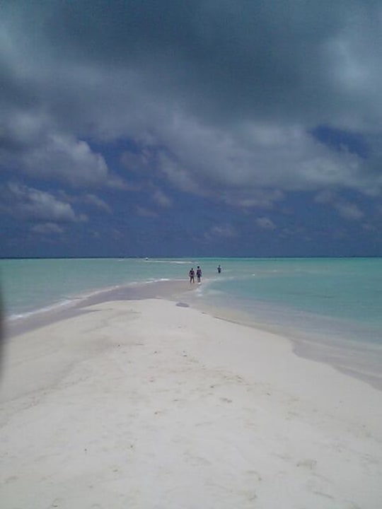 Sandbank Kuramathi Maldives