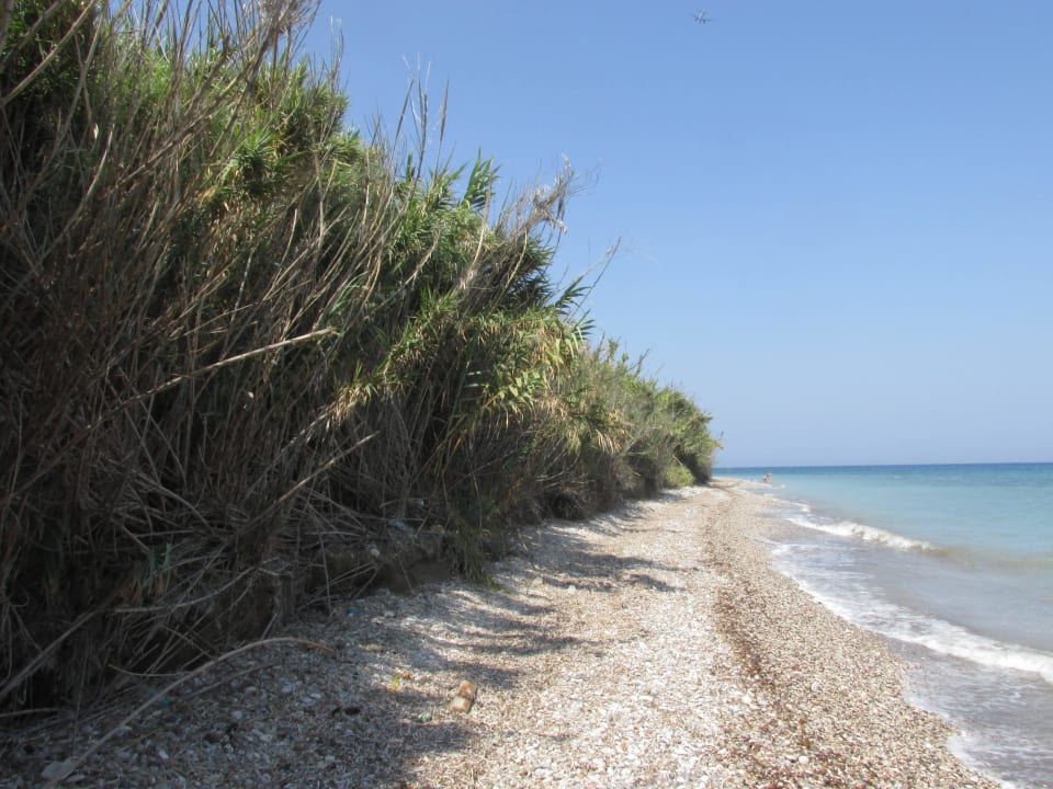 Strand nahe des Hotels TUI KIDS CLUB Alex Beach