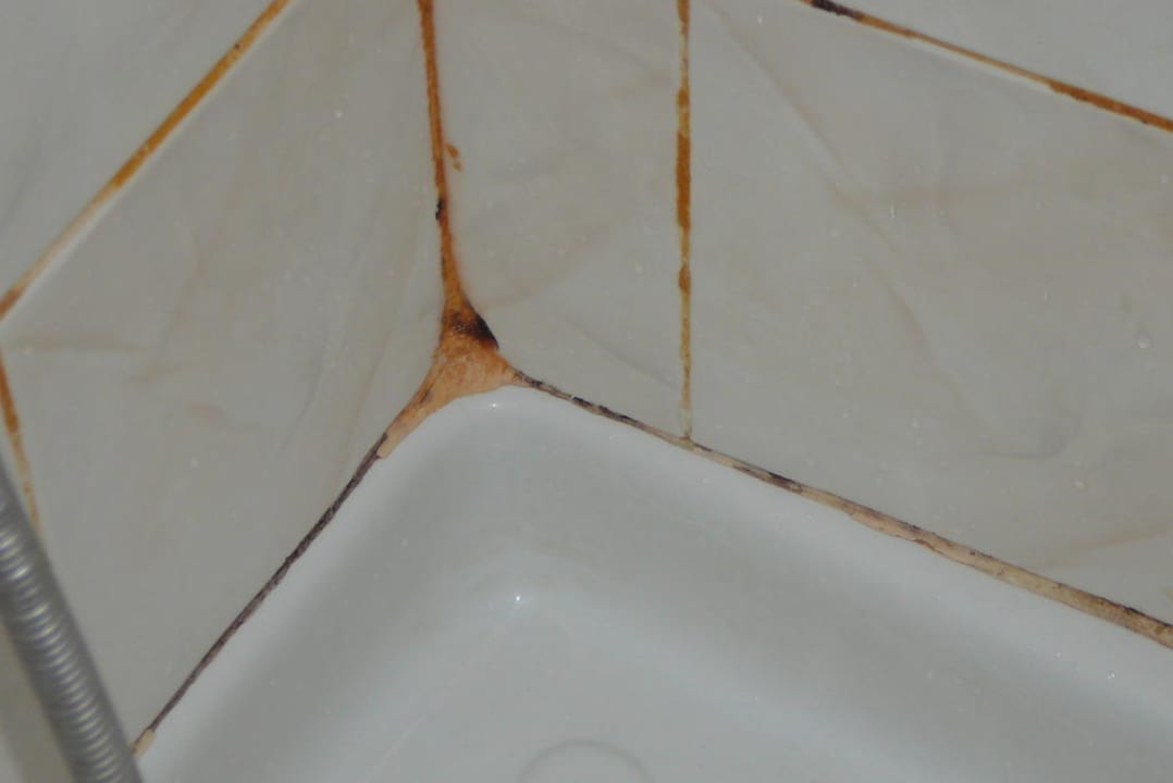 Grzyb i pleśń w łazience. Hotel Side Center